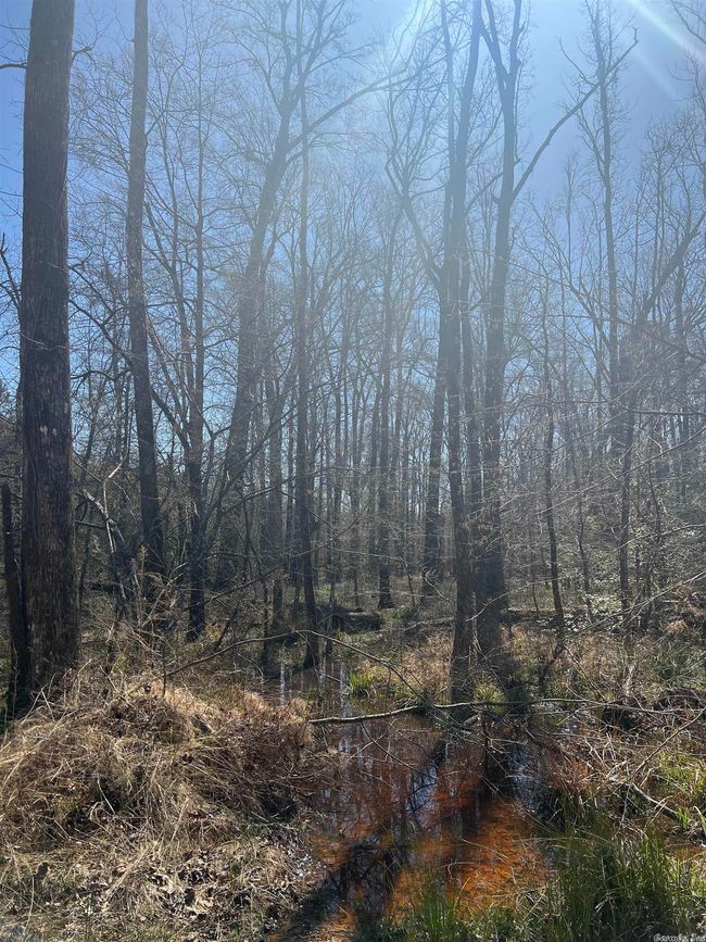 00 Nevada County 175 Road, Home with 0 bedrooms, 0 bathrooms and null parking in Rosston AR | Image 7