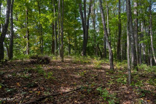 69 Wood Land Cir, Lebanon, VA, 24266-5742 | Card Image