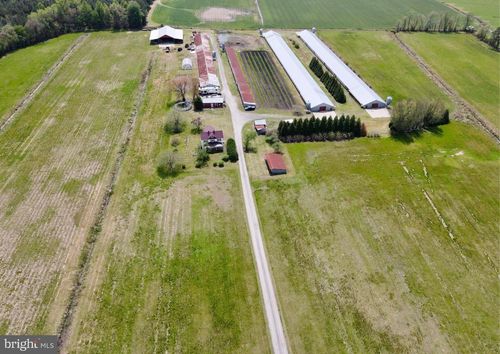 36555 Sheppards Crossing Rd, WILLARDS, MD, 21874-1316 | Card Image