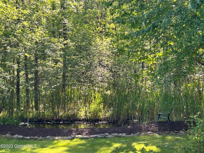 41-Relax w a book by the pond | Image 41