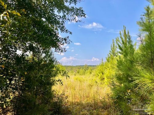 Lot 15 Morgan Ln, Molino, FL, 32577 | Card Image