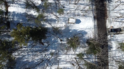 48 Ridgeway Dr, Nobel, ON, P0G1G0 | Card Image