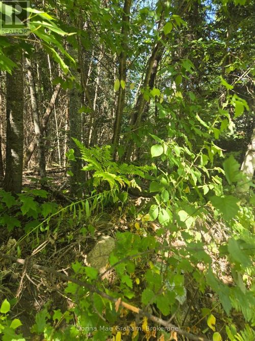 0 E Macduff Road Acres E, Highlands East (Monmouth), ON, K0L3C0 | Card Image