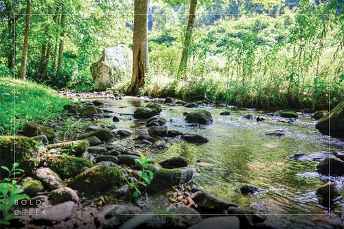 112 Bold Creek Trl, Glenville, NC, 28736-0049 | Card Image