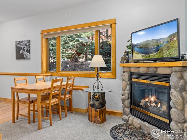 UNIT-2 - 1480 David Dr, Condo with 1 bedrooms, 1 bathrooms and null parking in Estes Park CO | Image 8
