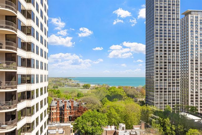 APT-1401 - 1445 N State Pkwy, Condo with 3 bedrooms, 3 bathrooms and 1 parking in CHICAGO IL | Image 18