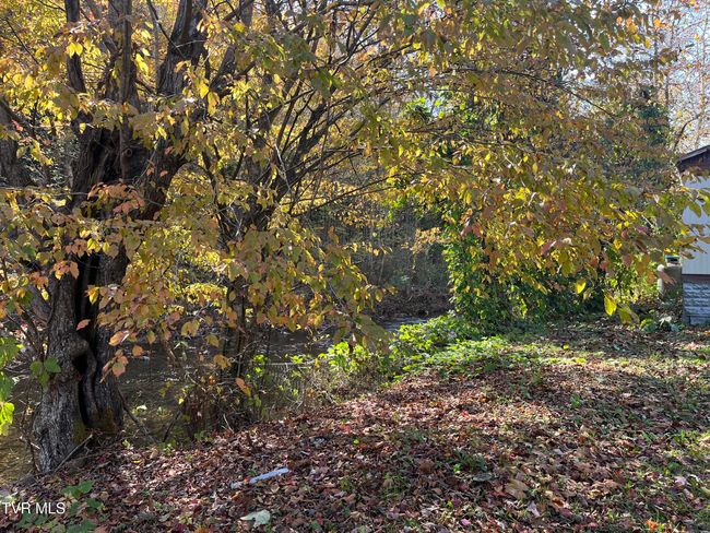 1208 Doe Creek Rd, House other with 1 bedrooms, 1 bathrooms and null parking in Butler TN | Image 13