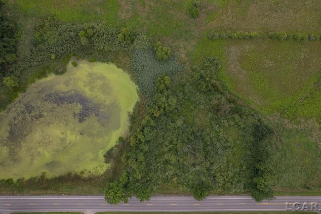 50150598-66f0a8bc-a55d-47f2-90a6-e9ef4ea8589d.JPG | Image 49