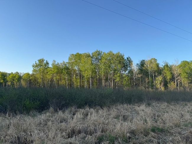 TBD 180 Th Ln, Home with 0 bedrooms, 0 bathrooms and null parking in Mc Grath MN | Image 4