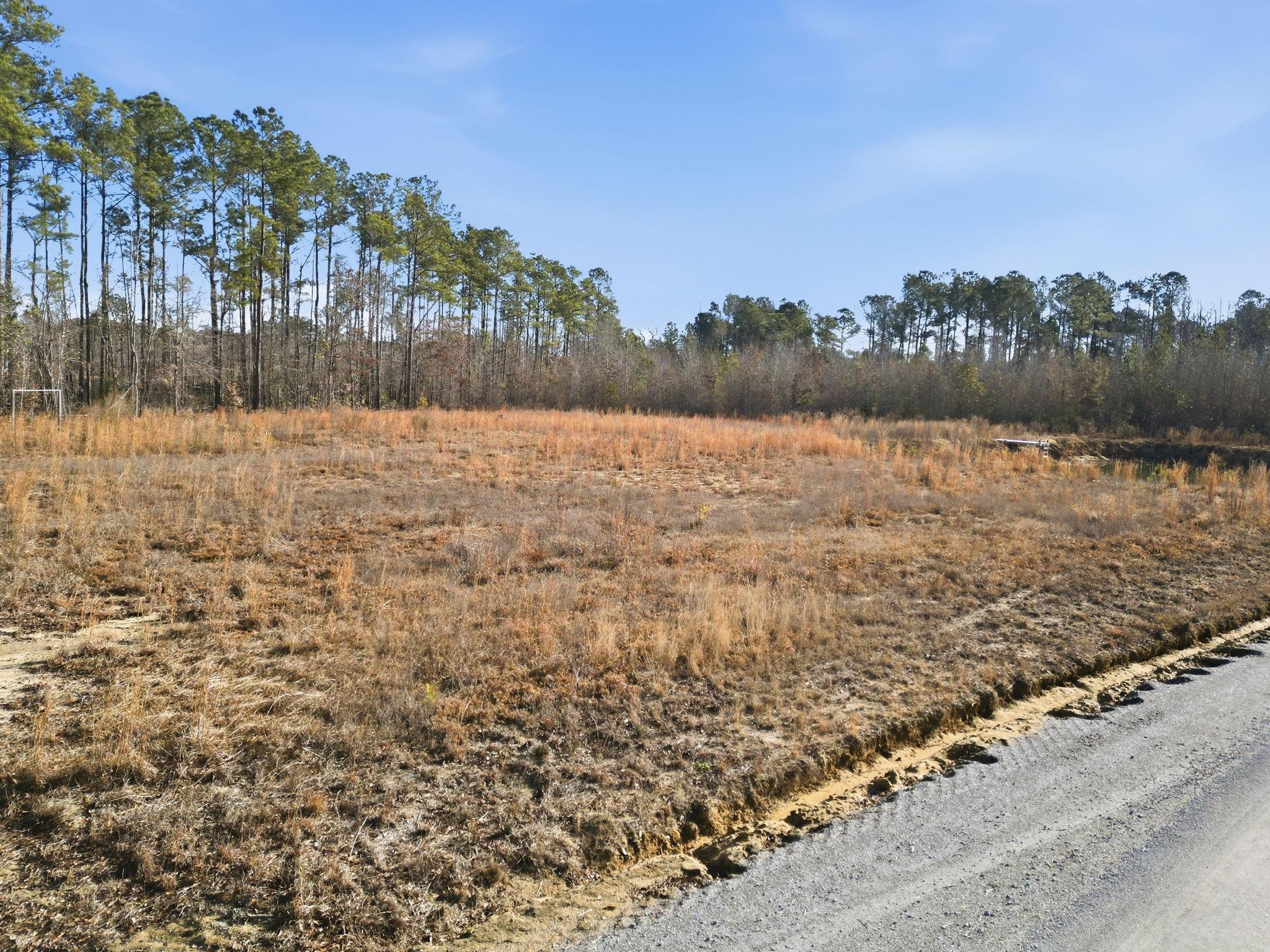 Land in Galivants Ferry 2