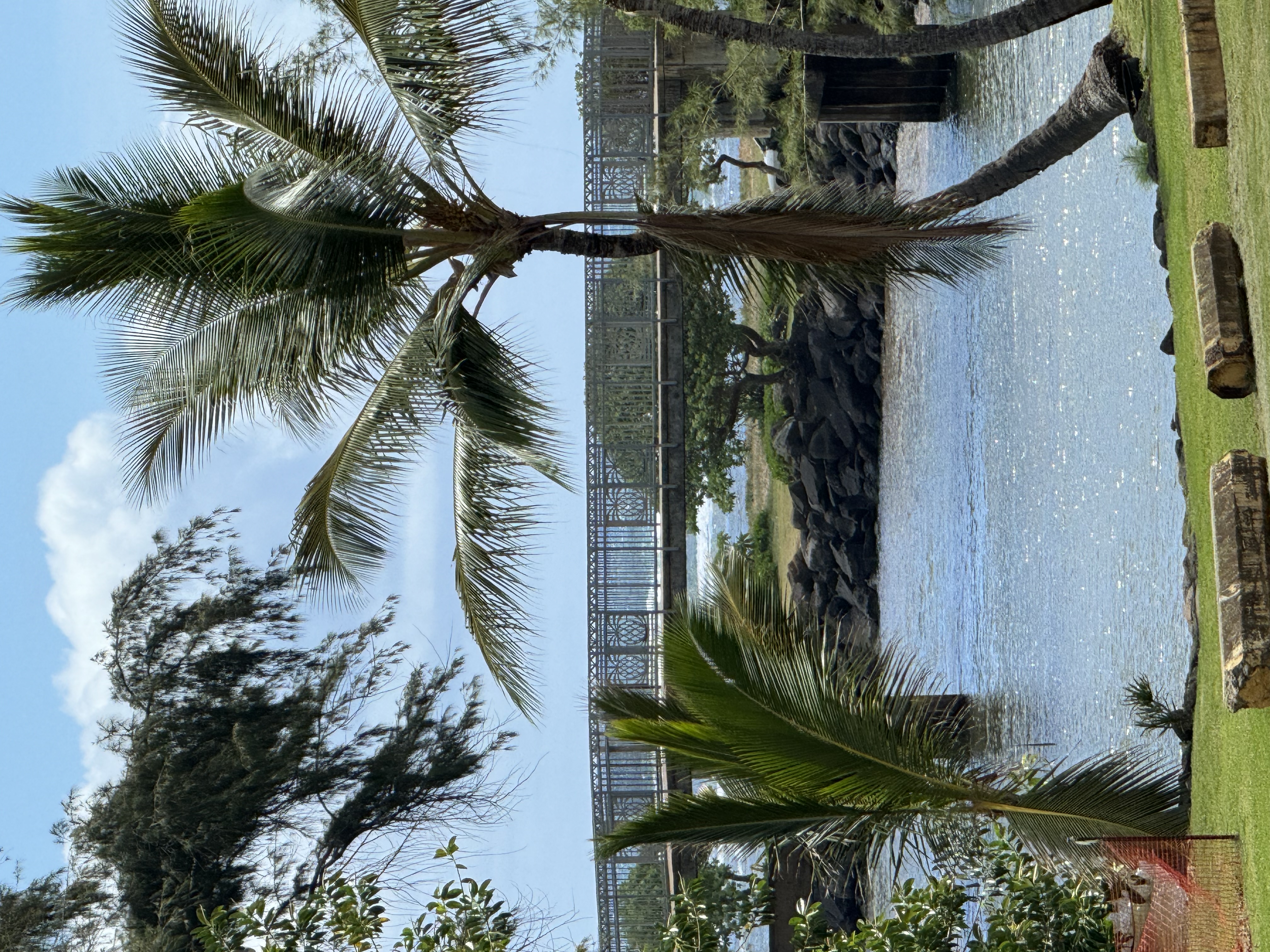 Residential in Kapaa 4