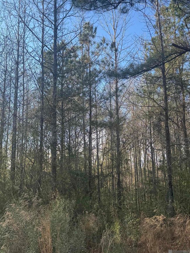 5903 Line Rd, Home with 0 bedrooms, 0 bathrooms and null parking in Ethel LA | Image 11