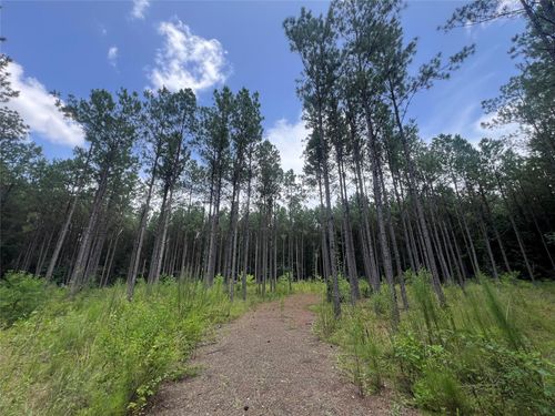 1690 Fm 1751, San Augustine, TX, 75972 | Card Image