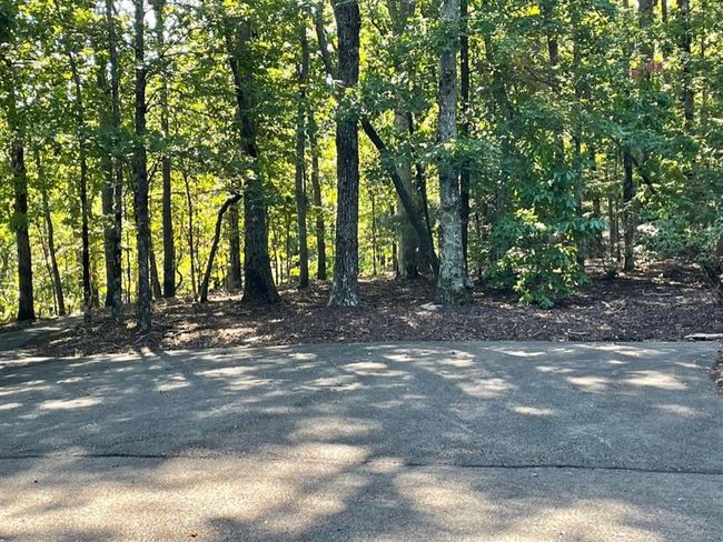 76 Tally Cove Rd, Home with 0 bedrooms, 0 bathrooms and null parking in Jasper GA | Image 23