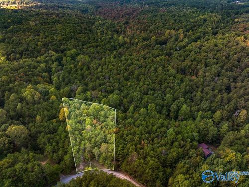 TRACT 20A Road 9002, Mentone, AL, 35984 | Card Image