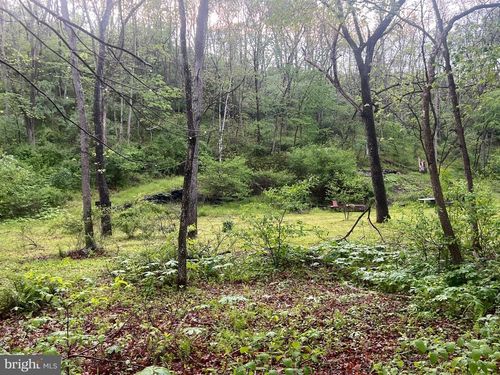 0 Sidling Hill Creek Road, LITTLE ORLEANS, MD, 21766 | Card Image