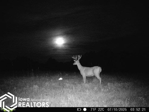 12679 Jewel Ave, Drakesville, IA, 52552-8705 | Card Image