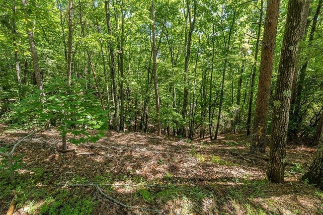 64 Wrens Nest, Home with 0 bedrooms, 0 bathrooms and null parking in Big Canoe GA | Image 16