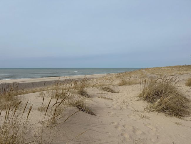 Warren Dunes beach | Image 47