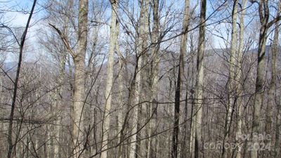 000 Beech Thicket Springs Road, Home with 0 bedrooms, 0 bathrooms and null parking in Bakersville NC | Image 3