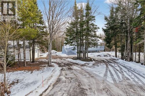 46860 Homestead Rd, Steeves Mountain, NB, E1G4P1 | Card Image
