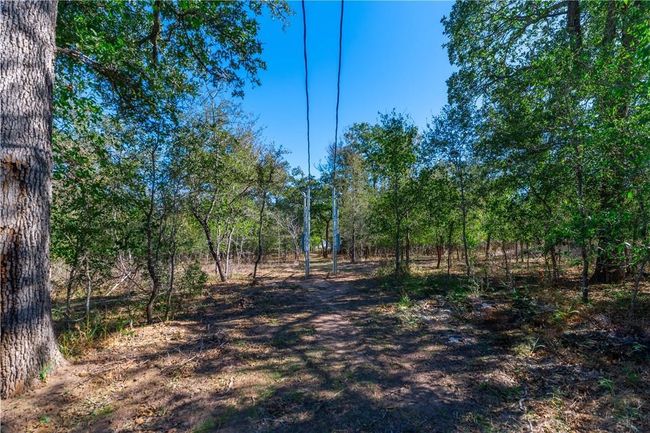 3597 Baker Rd, Home with 0 bedrooms, 0 bathrooms and null parking in Kingsbury TX | Image 14