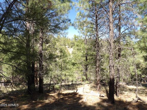 77-1601 Moqui Dr, Happy Jack, AZ, 86024-8490 | Card Image