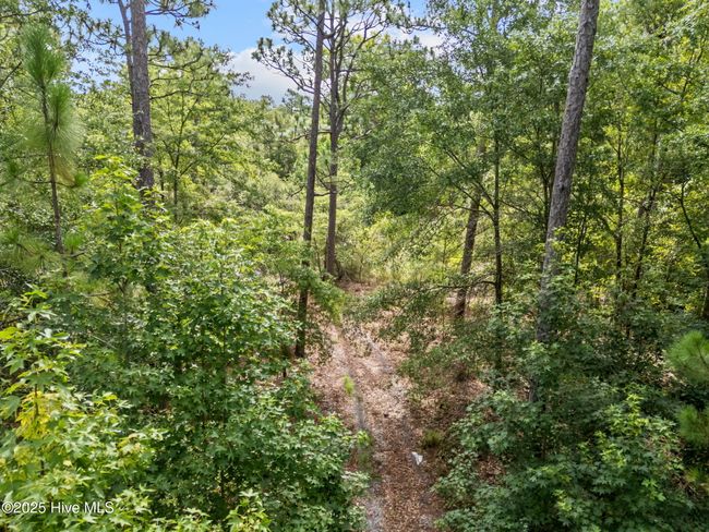 Wooded | Image 20