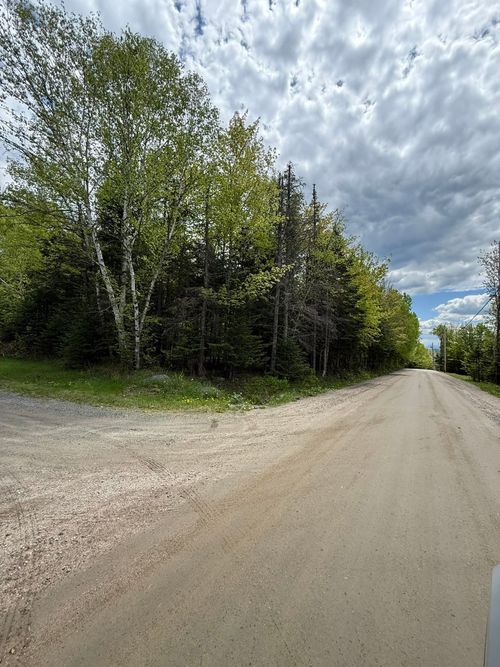 0 Hawkins Rd, Milan, NH, 03588 | Card Image