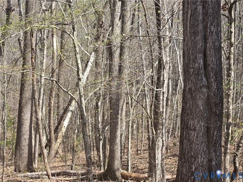 0 Equestrian Trail Rd, New Canton, VA, 23123 | Card Image