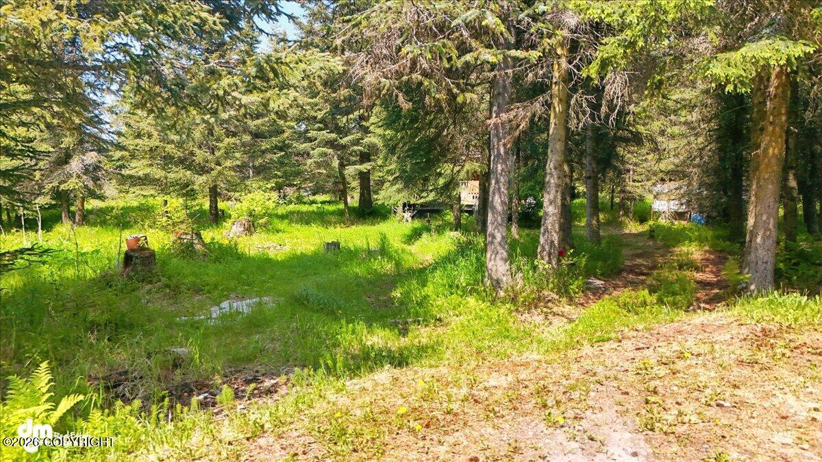 Land in Ninilchik