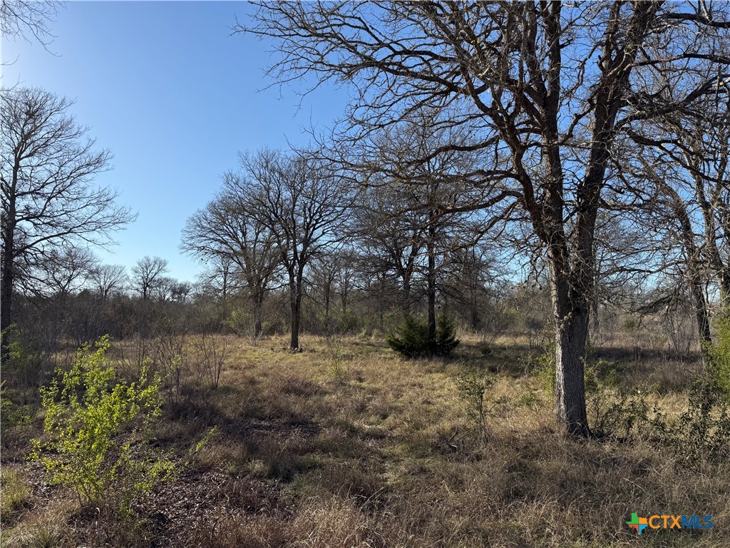 Land in Seguin 5