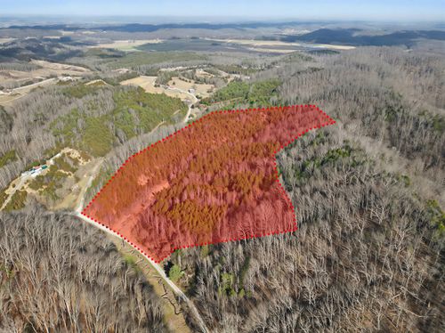 2692 Bear Creek Rd, Bybee, TN, 37713-2315 | Card Image