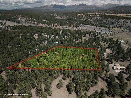 X Bienvenido Cir, Pagosa Springs, CO, 81147 | Card Image