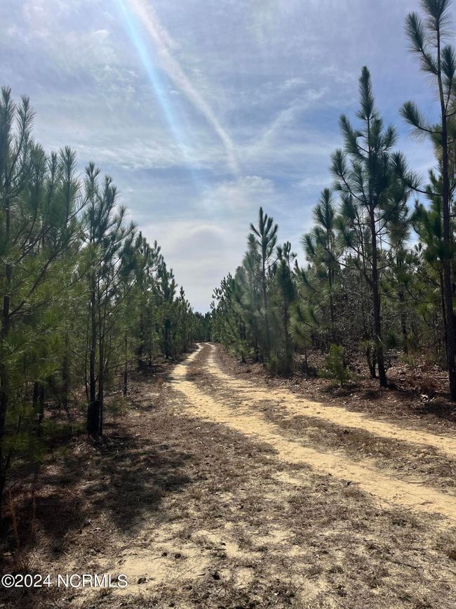 00 Us Highway 15 501, Home with 0 bedrooms, 0 bathrooms and null parking in Pinehurst NC | Image 12
