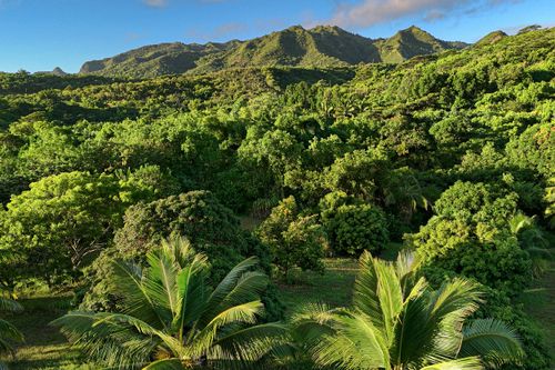 c-6565-C Koolau Rd, Anahola, HI, 96703 | Card Image