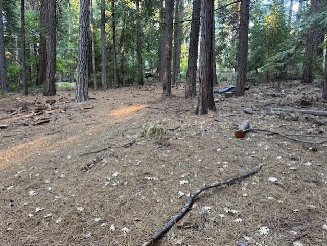 Land in Pollock Pines 5
