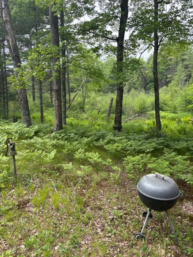 4901 S Spruce Ave, Home with 0 bedrooms, 0 bathrooms and null parking in Newaygo MI | Image 10