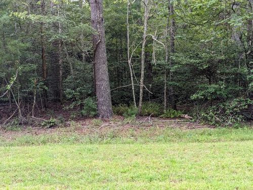 Lot 11 Quail Cove Cir, Warne, NC, 28909-7734 | Card Image