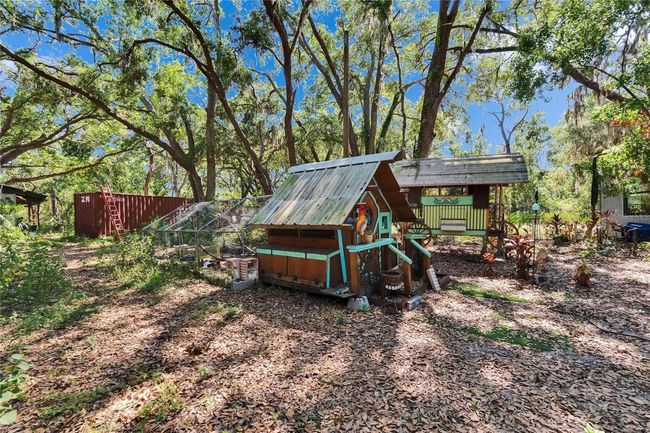 Two custom-made chicken coops with egg producing chickens galore | Image 69