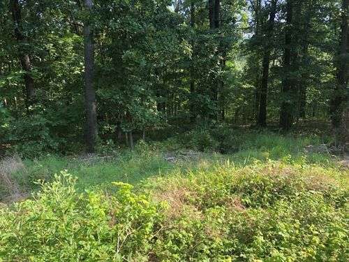 Lot 12 Bingley Ln, Bella Vista, AR, 72714-2102 | Card Image