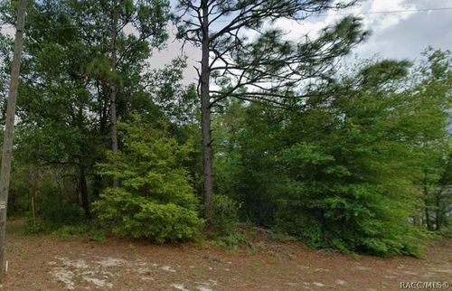8829 N Amboy Dr, Citrus Springs, FL, 34433-4301 | Card Image