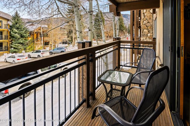 202 - 131 E Durant Ave, Condo with 2 bedrooms, 2 bathrooms and null parking in Aspen CO | Image 11