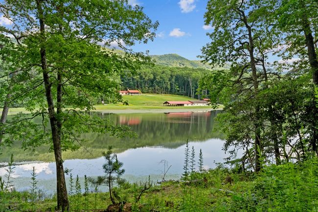 1071 Lodge Dr, Home with 4 bedrooms, 2 bathrooms and null parking in Bastian VA | Image 4
