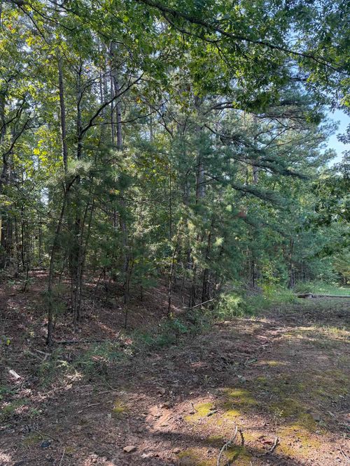 TBD Off Burnt Ridge Road, Shirley, AR, 72153 | Card Image
