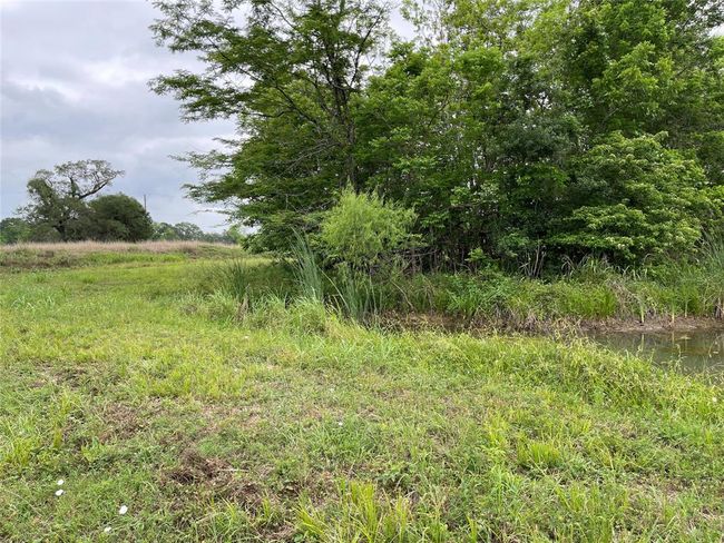 526 Pony Trl, Home with 0 bedrooms, 0 bathrooms and null parking in Angleton TX | Image 4