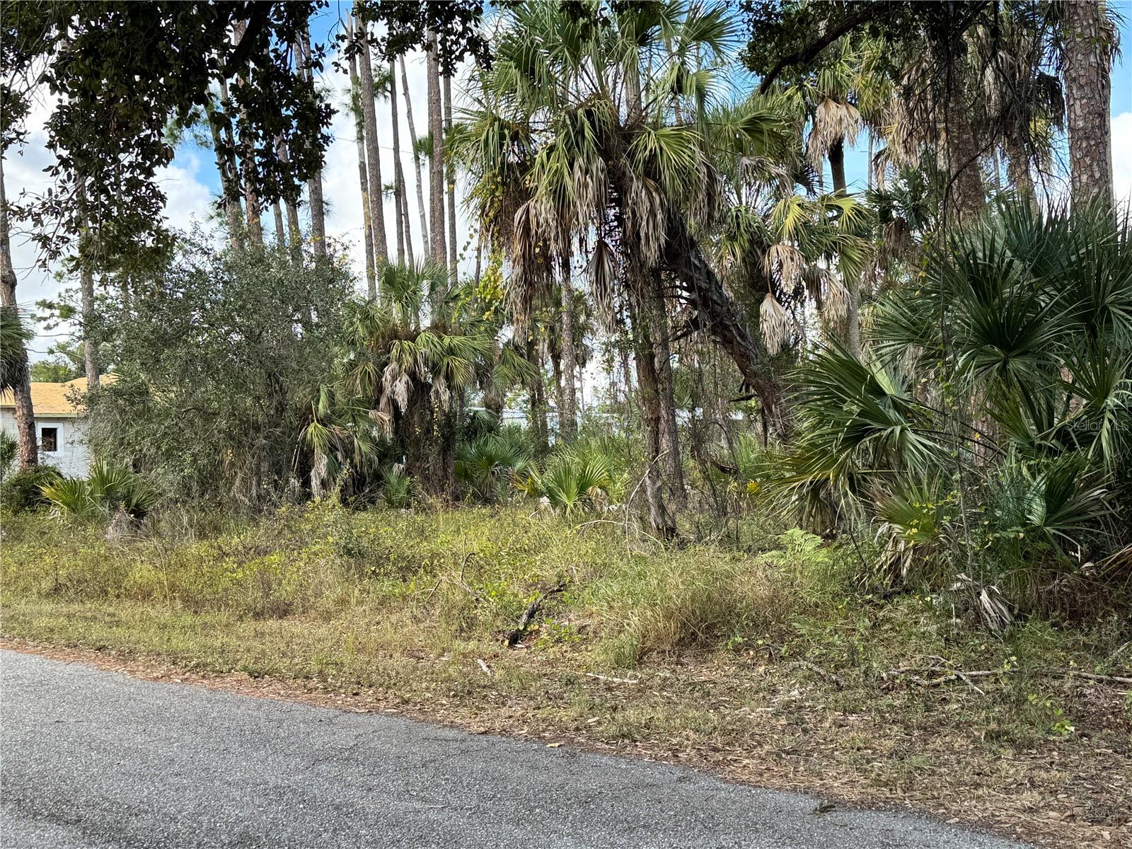 Land in PORT CHARLOTTE 5
