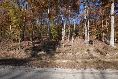 4 Cox Hollow Rd, Dover, TN, 37058 | Card Image