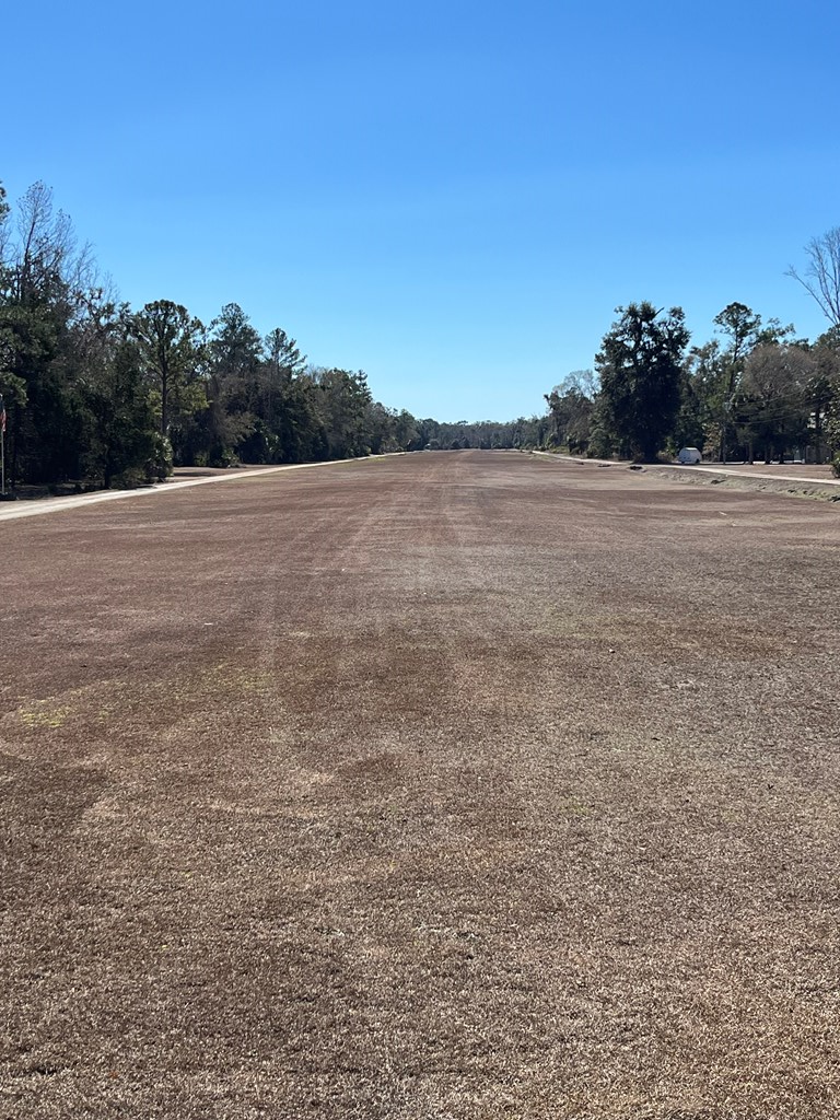 Land in Steinhatchee 3