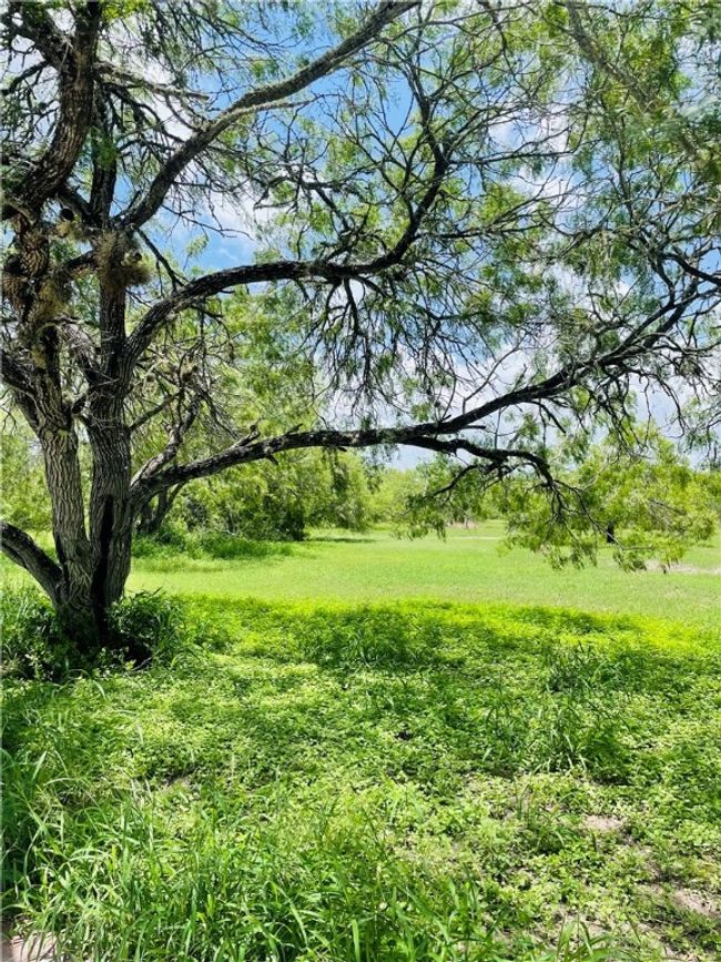 5742 Hidden Valley Loop, House other with 3 bedrooms, 2 bathrooms and null parking in Sandia TX | Image 24